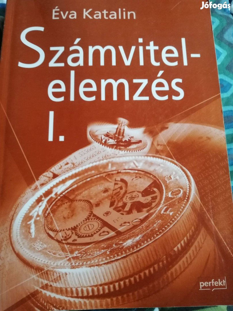 Számvitel elemzés Éva Katalin