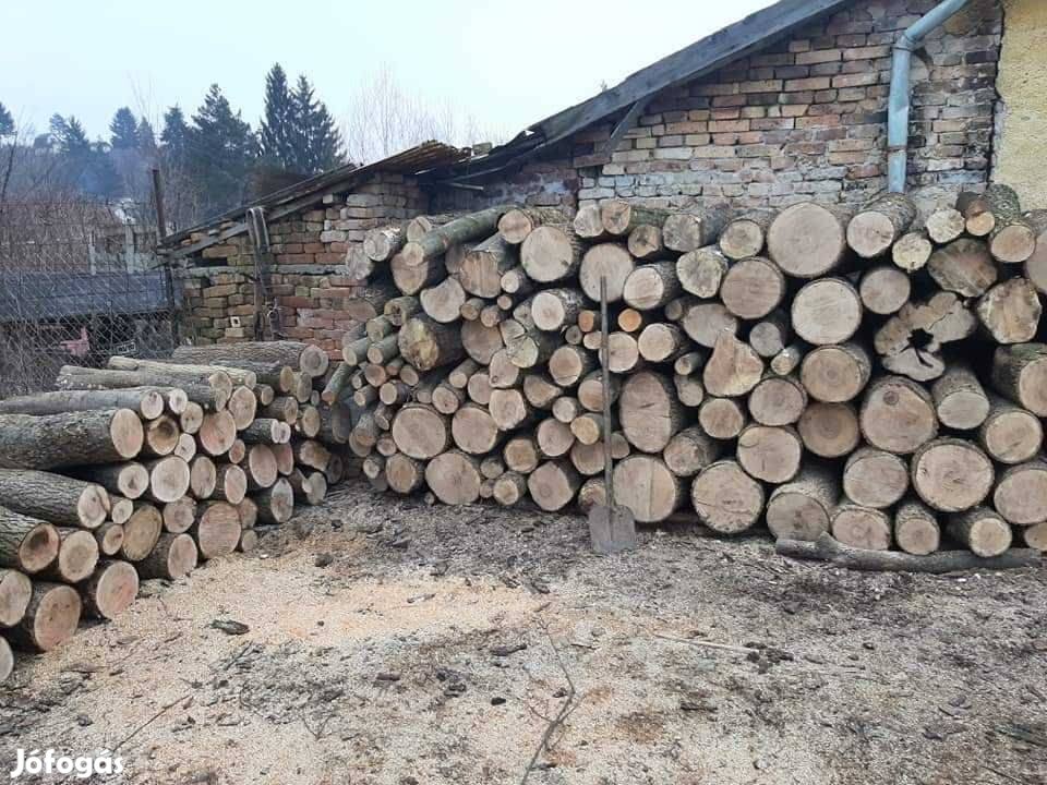 Száraz méteres tűzfa kapható erdei m3 re