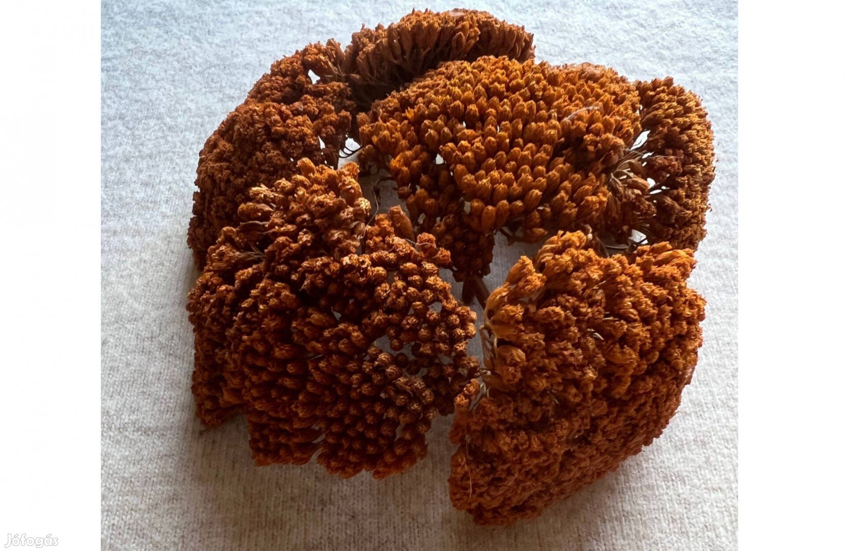 Szárított virágfejek cickafark