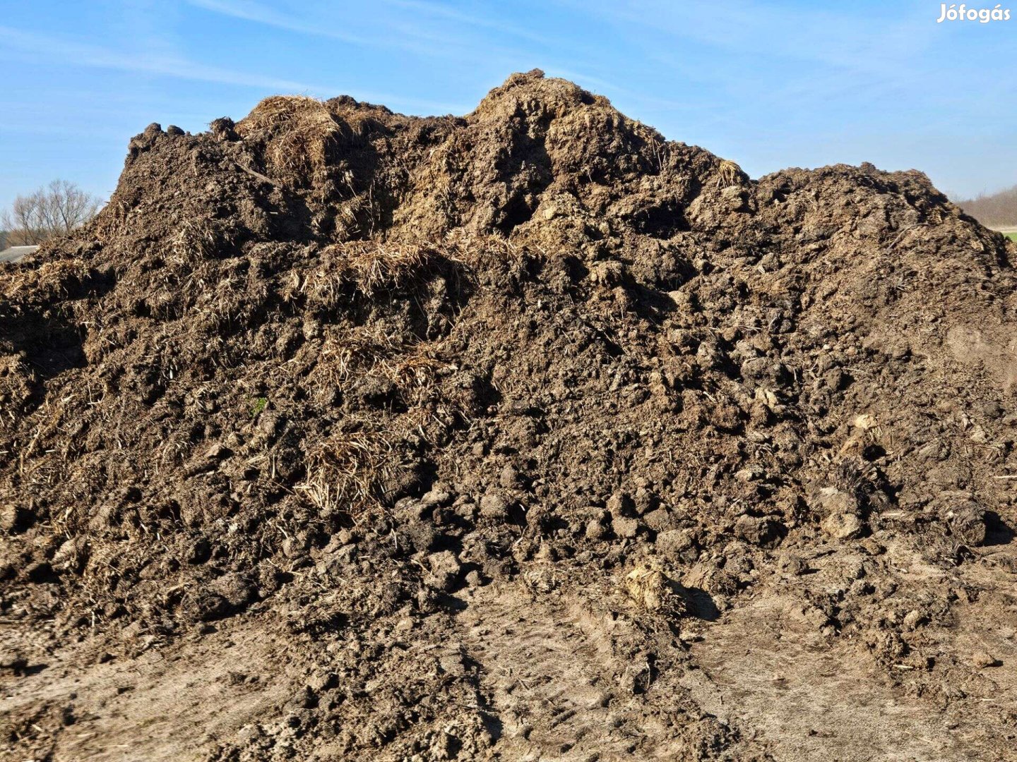 Szarvasmarha Trágya!