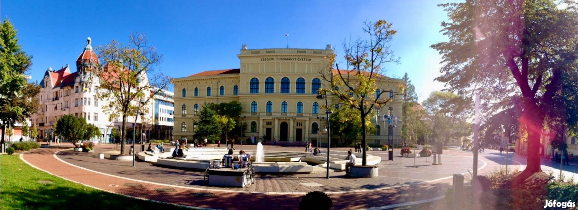 Szeged Belváros Szívében, Kárász Utca , Melegkonyhás,Berende