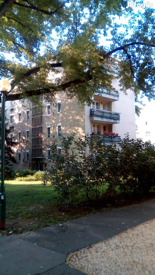 Szeged-belváros, Palánk 3/A magasföldszinti 1.5 szobás, lakás eladó