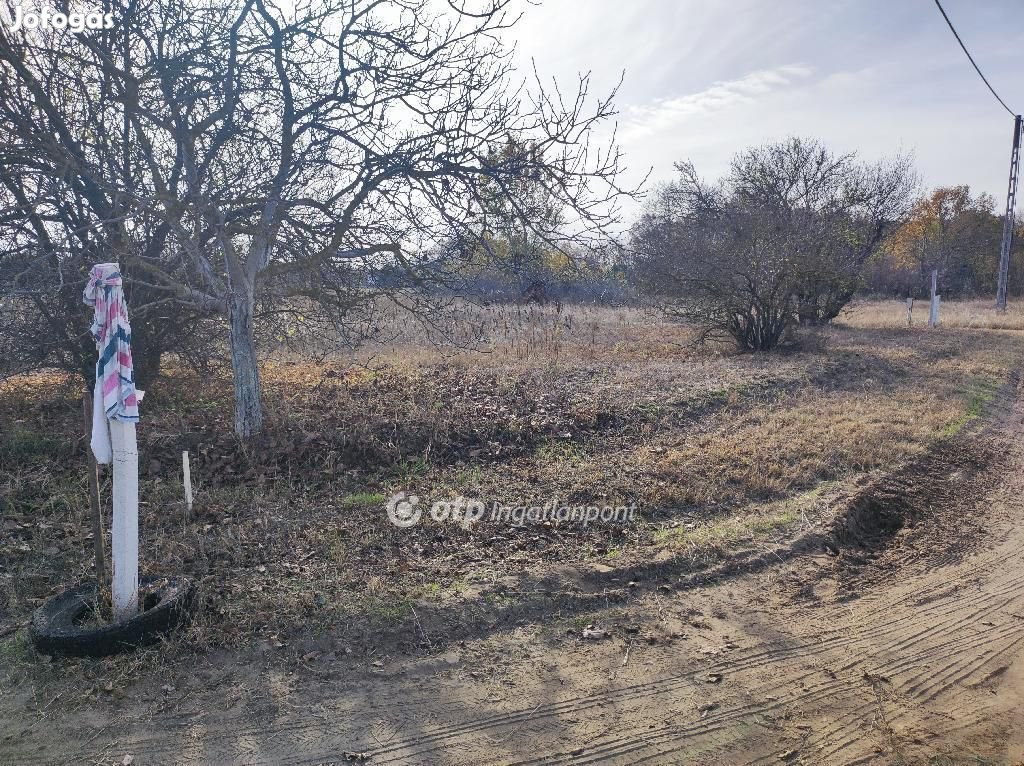 Szegedi eladó 2620 nm-es telek