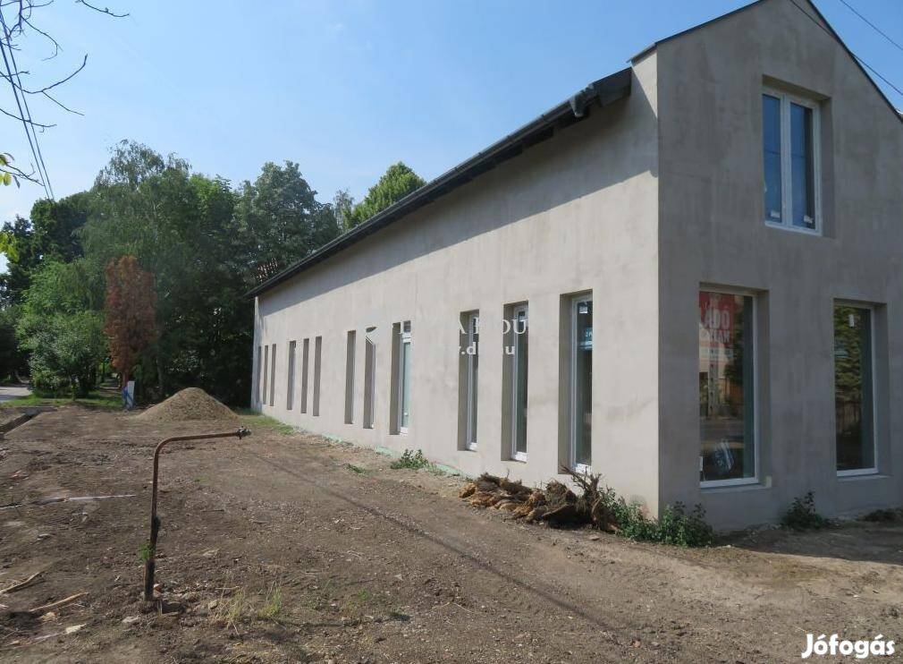 Szegedi eladó 91 nm-es ház #4616608