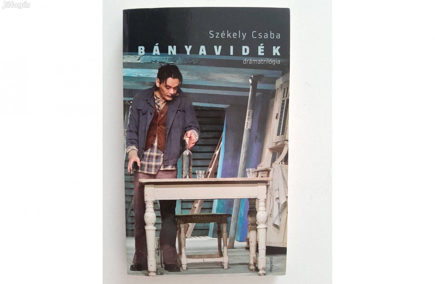 Székely Csaba Bányavidék