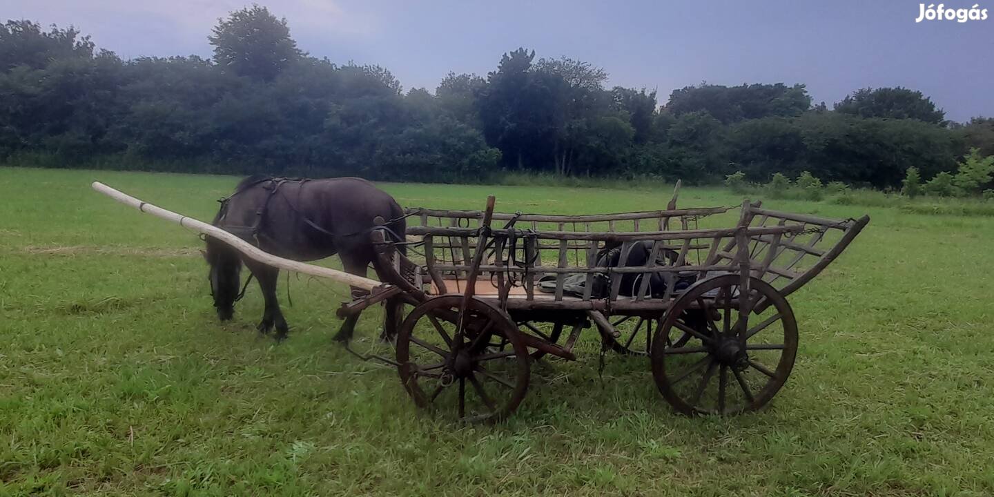 Szekér, kocsi kerék