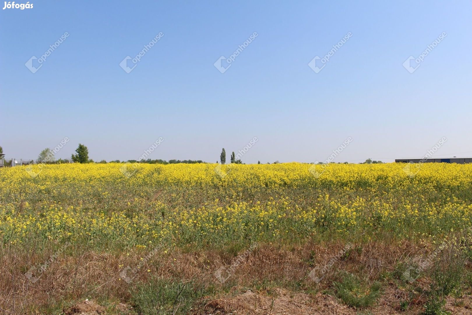 Székesfehérvár, eladó telek