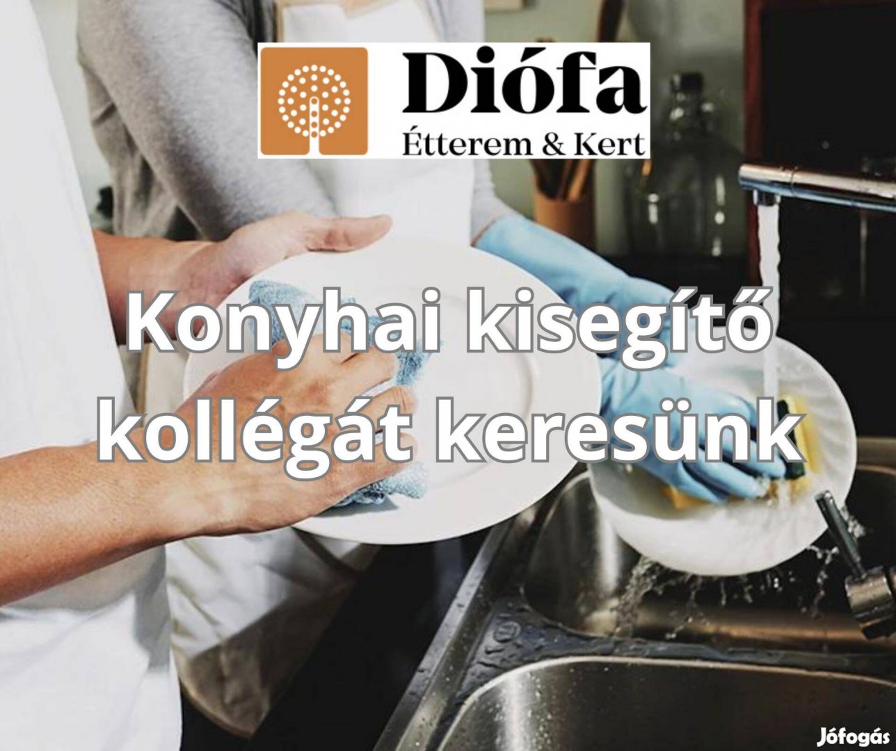 Székesfehérvári Diófa étterem konyhai kisegítő kollégát keres