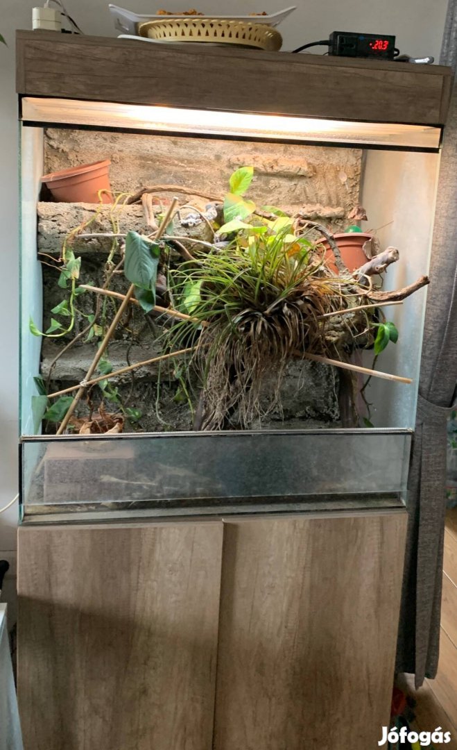 Szekrényes terrárium - nagy méretű