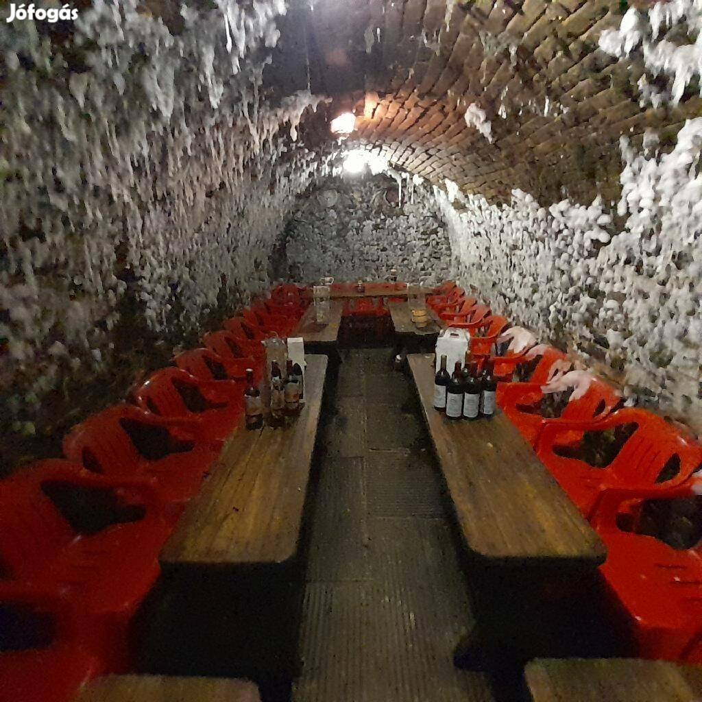 Szekszárd - üzemelő borozó, termő szőlő 2975 nm területen