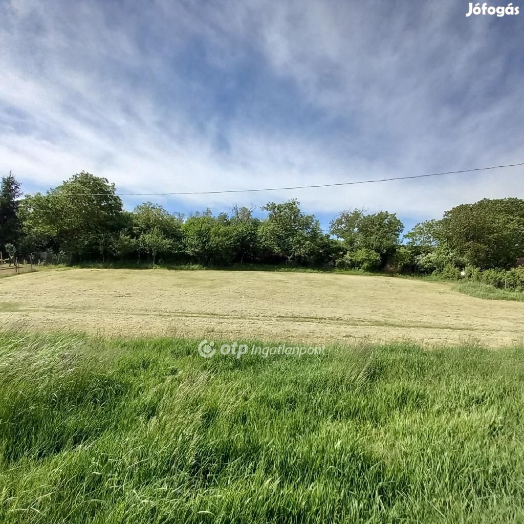 Szekszárd déli részén 14753 nm mezőgazdasági terület eladó!