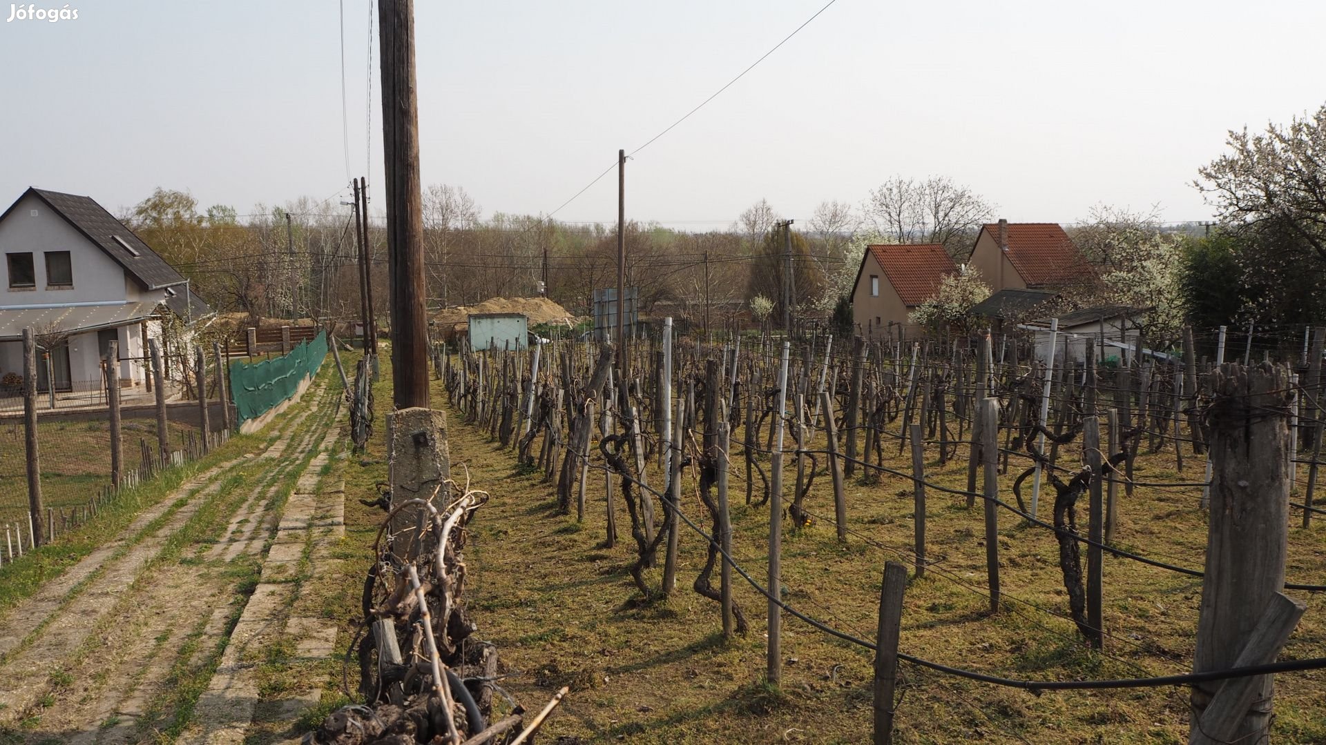 Szekszárdi eladó telek