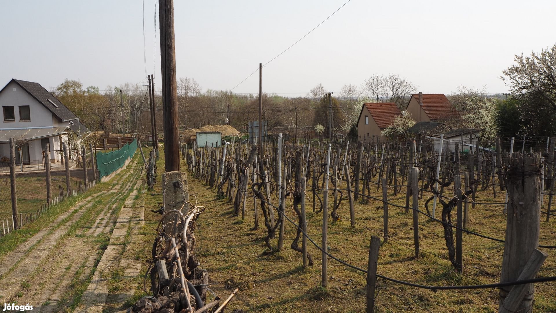 Szekszárdi eladó telek