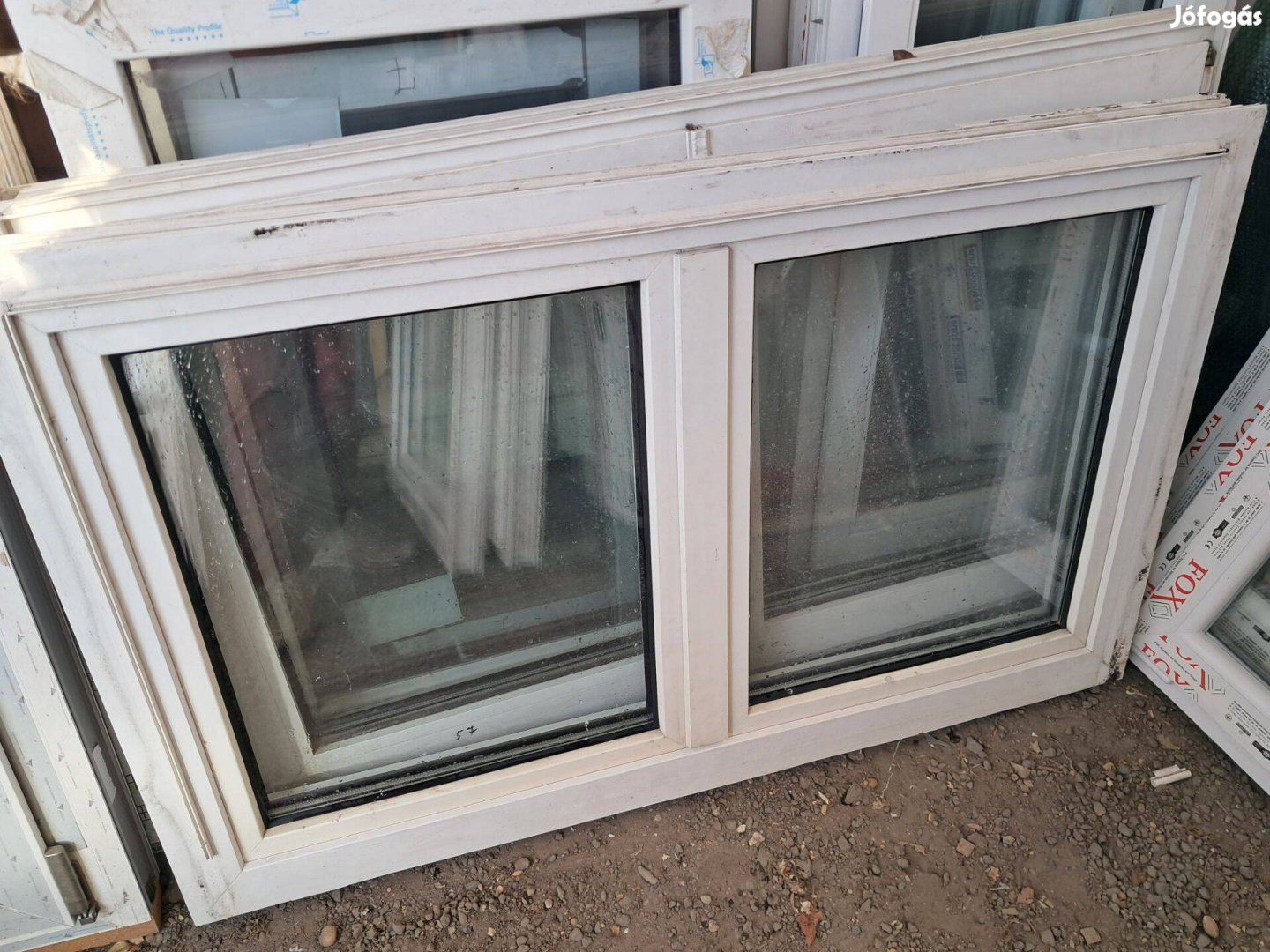 Széles kétszárnyasok