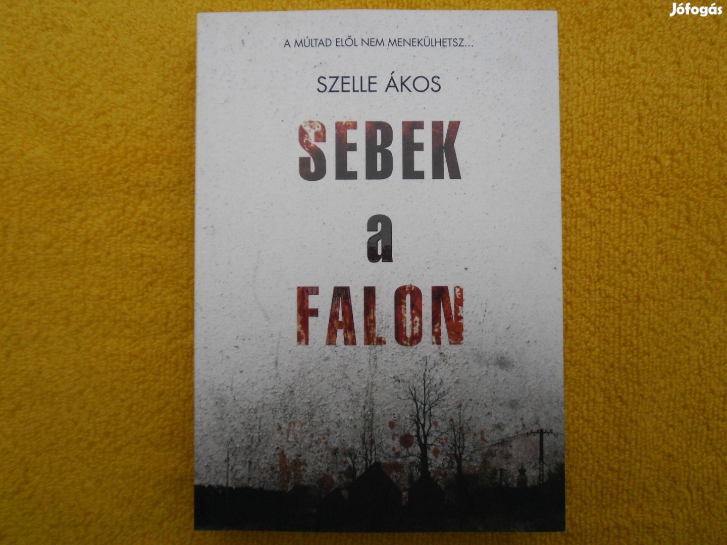 Szelle Ákos: Sebek a falon /Magyar krimik/