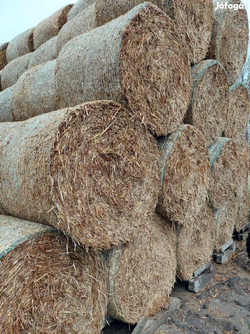 Szemes cirok körbála 150cm