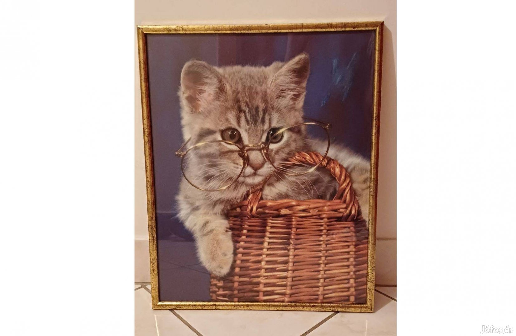 Szemüveges cica képe aranyozott keretben