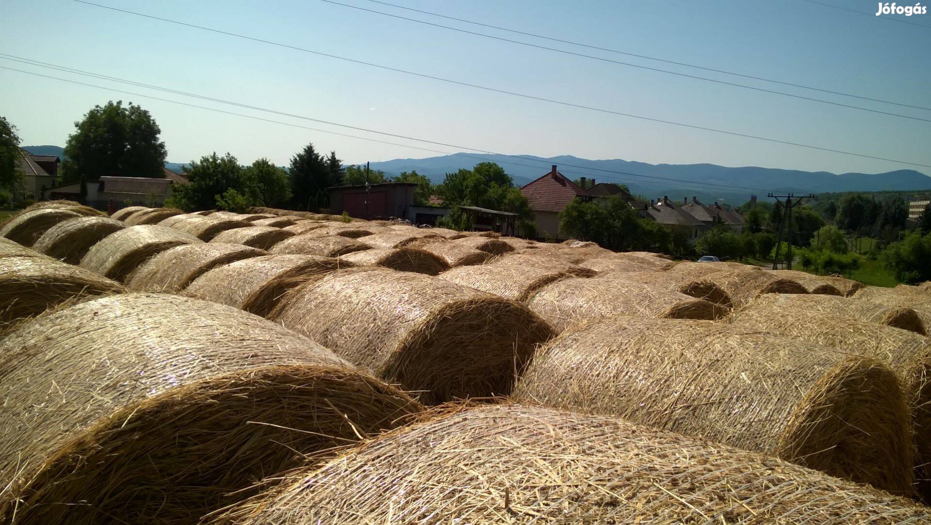 Széna, Lucerna körbála eladó