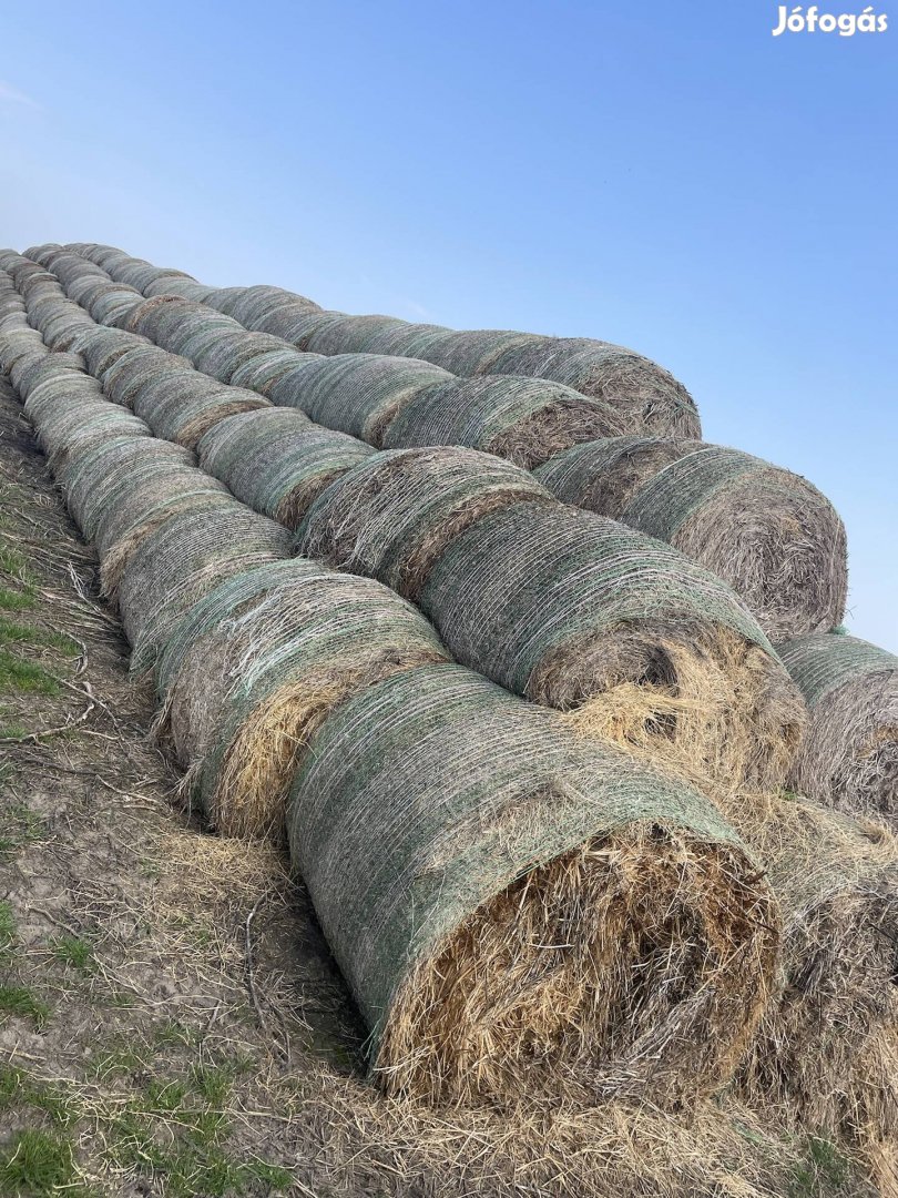 Széna eladó 300db