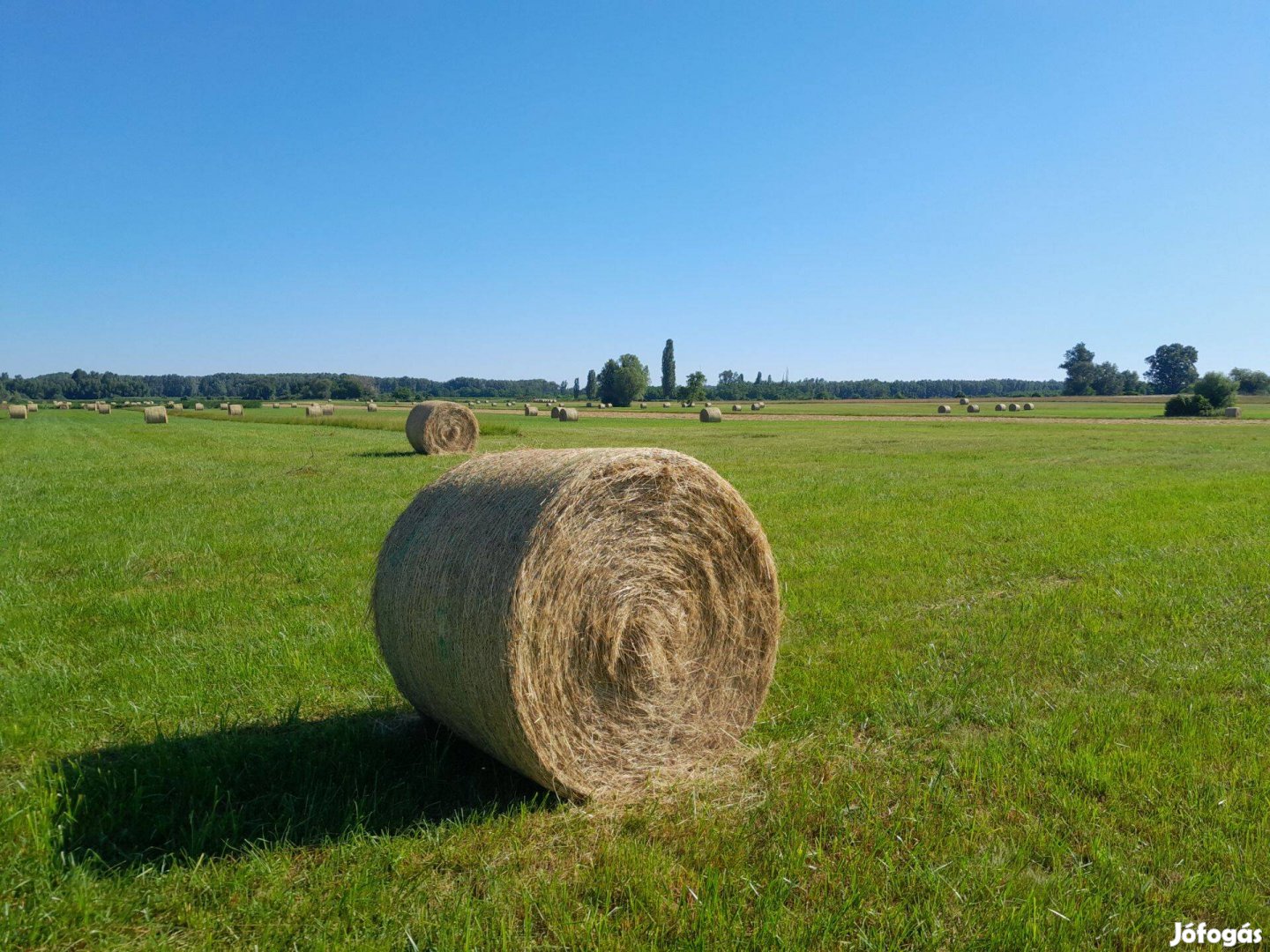 Széna,fűszéna,rétiszéna