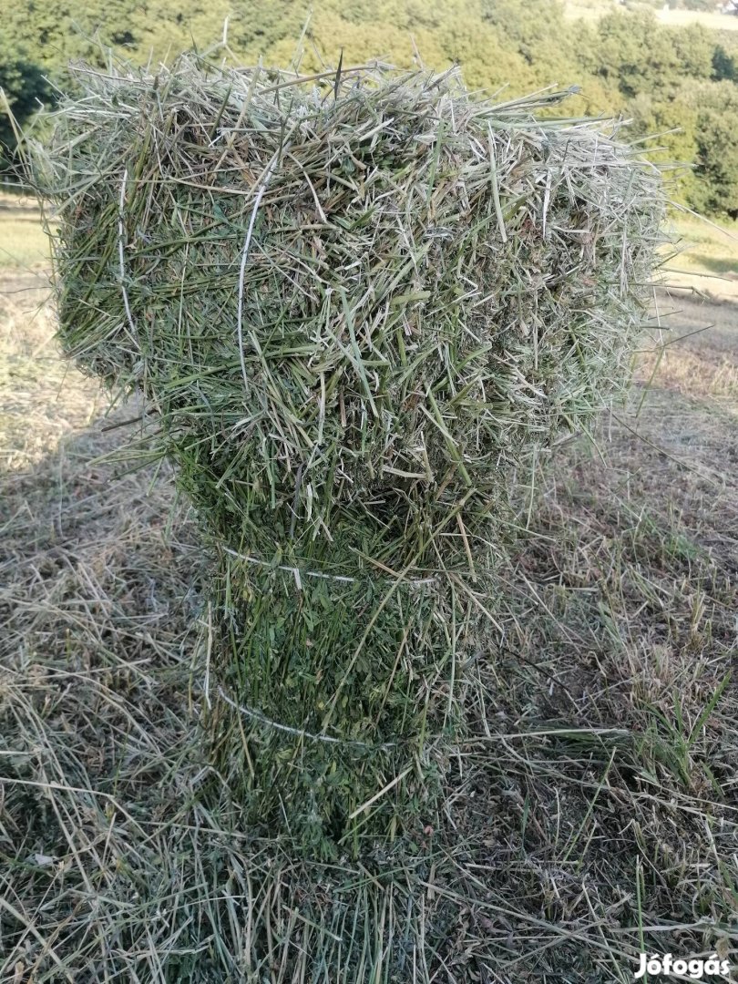 Széna kiskocka bála Zalaegerszeg 