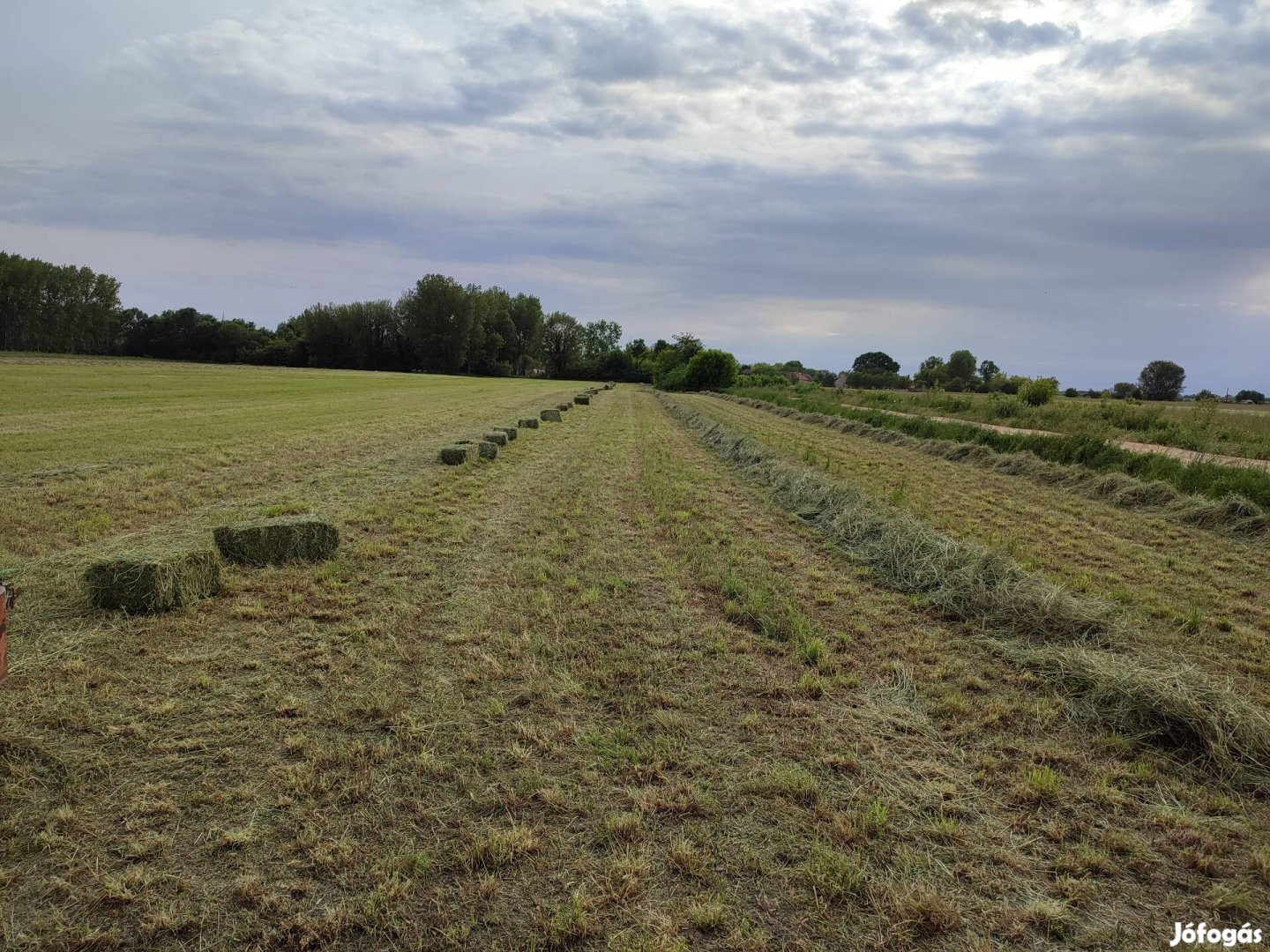 Szenabála, kis kockabála