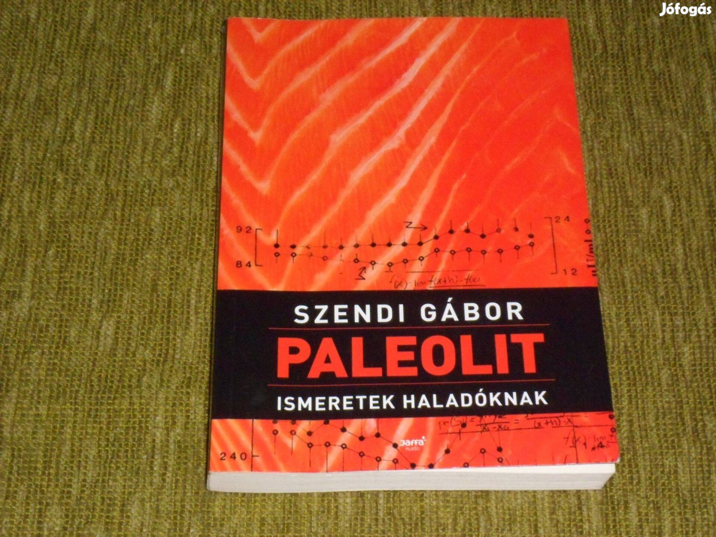 Szendi Gábor: Paleolit ismeretek haladóknak