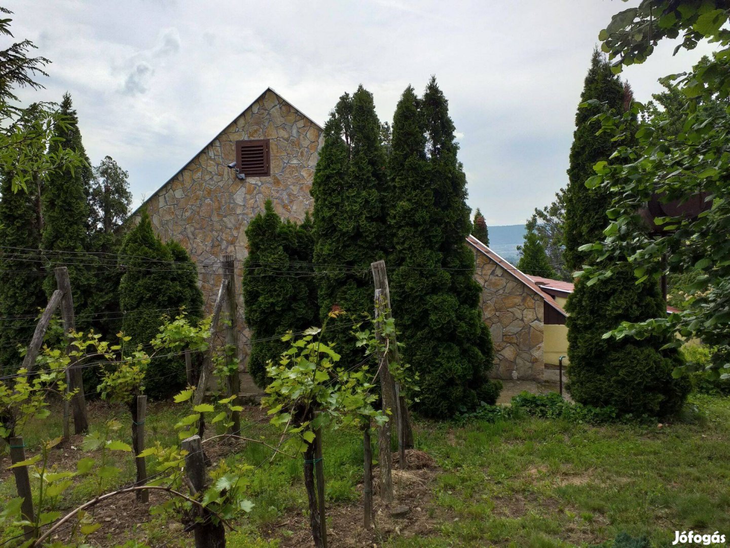 Szent György-hegyen panorámás 2350m2-es telken, pince-présház eladó