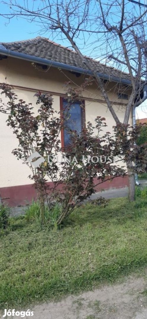 Szentesi 54 nm-es ház eladó