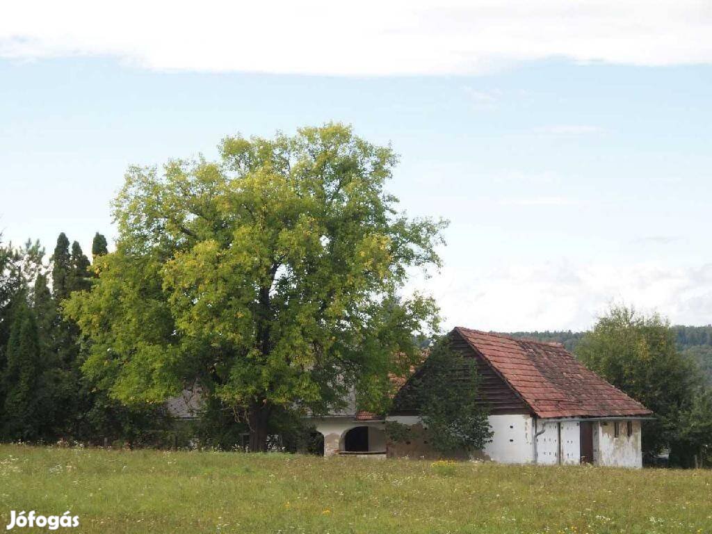 Szentgotthárdon építési telek eladó