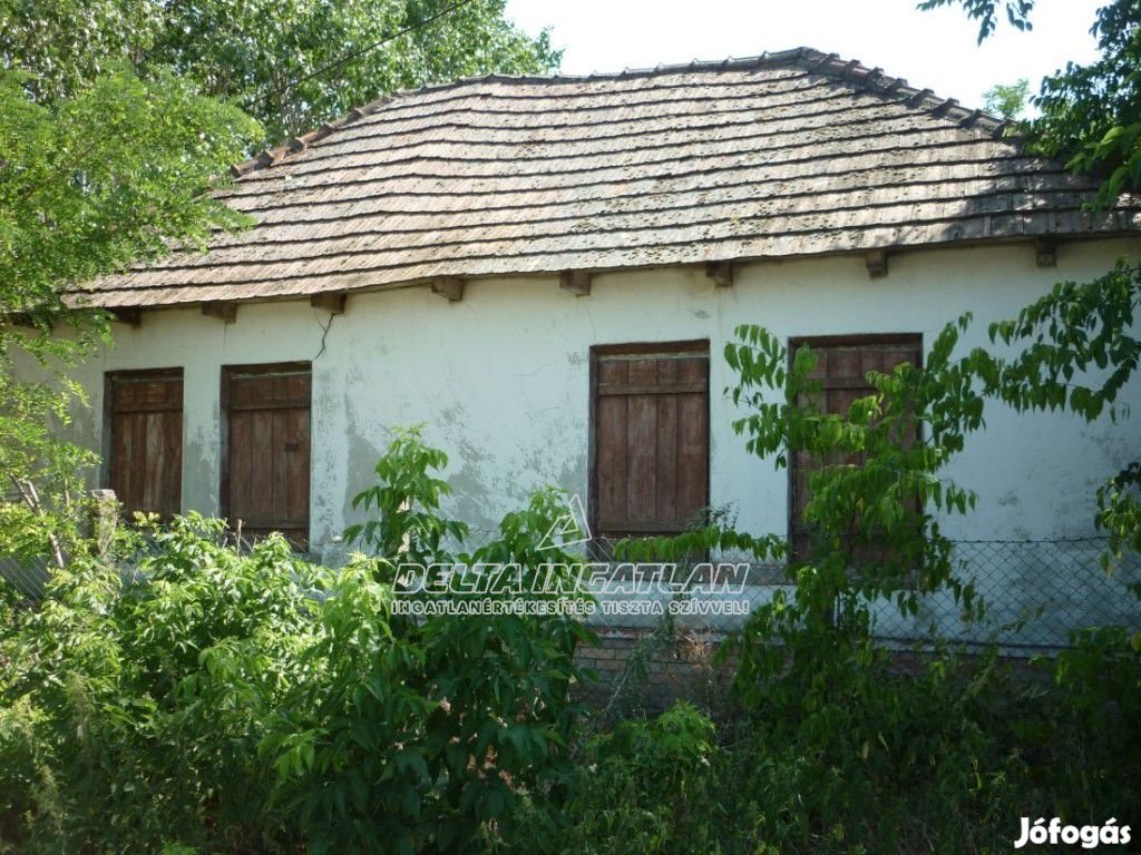 Szentlőrinckáta külterületén 62 m2-es tanya 5755 m2-es