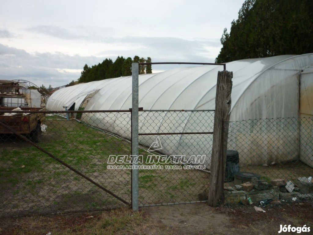 Szentlőrinckátán nyugodt utcában 1061 m2-es építési telek eladó!