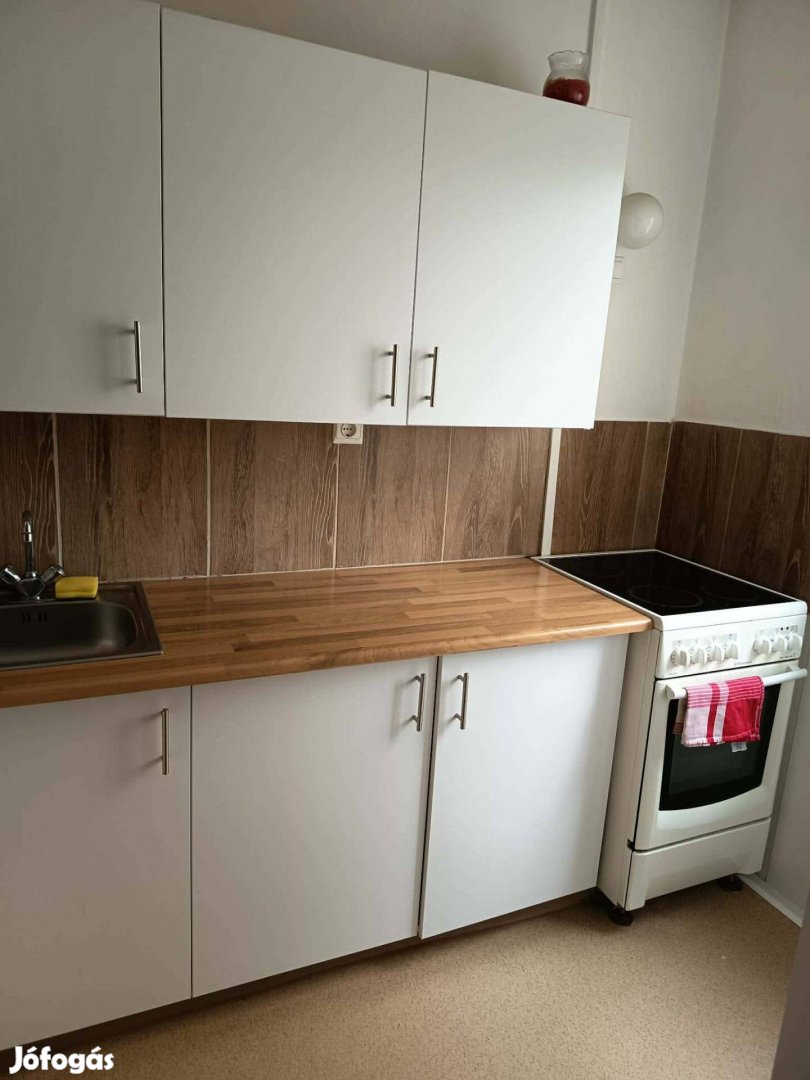 Szép kis fiatalos lakás kiadó Nyíregyházán Örökösföldön