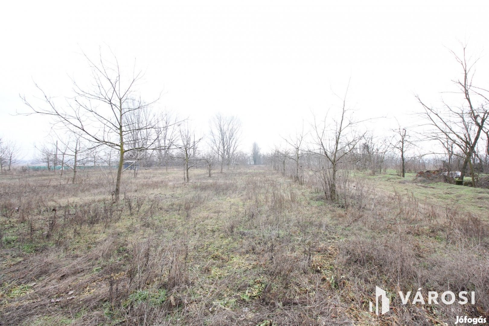 Szeretne passzív jövedelmet dióból?