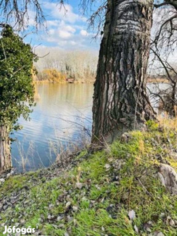 Szigetcsép, Dunasor közeli utca, 683 m2-es, telek