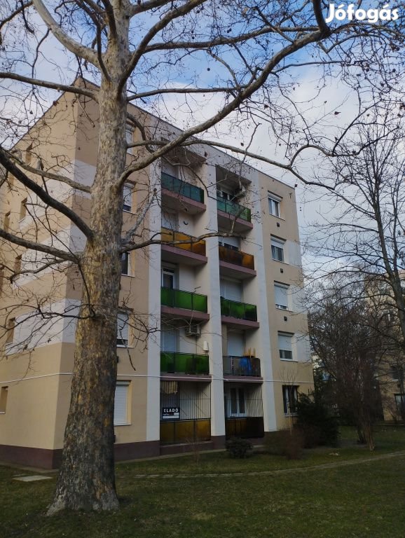 Szigetszentmiklós, Központ közeli utca, 53 m2-es,