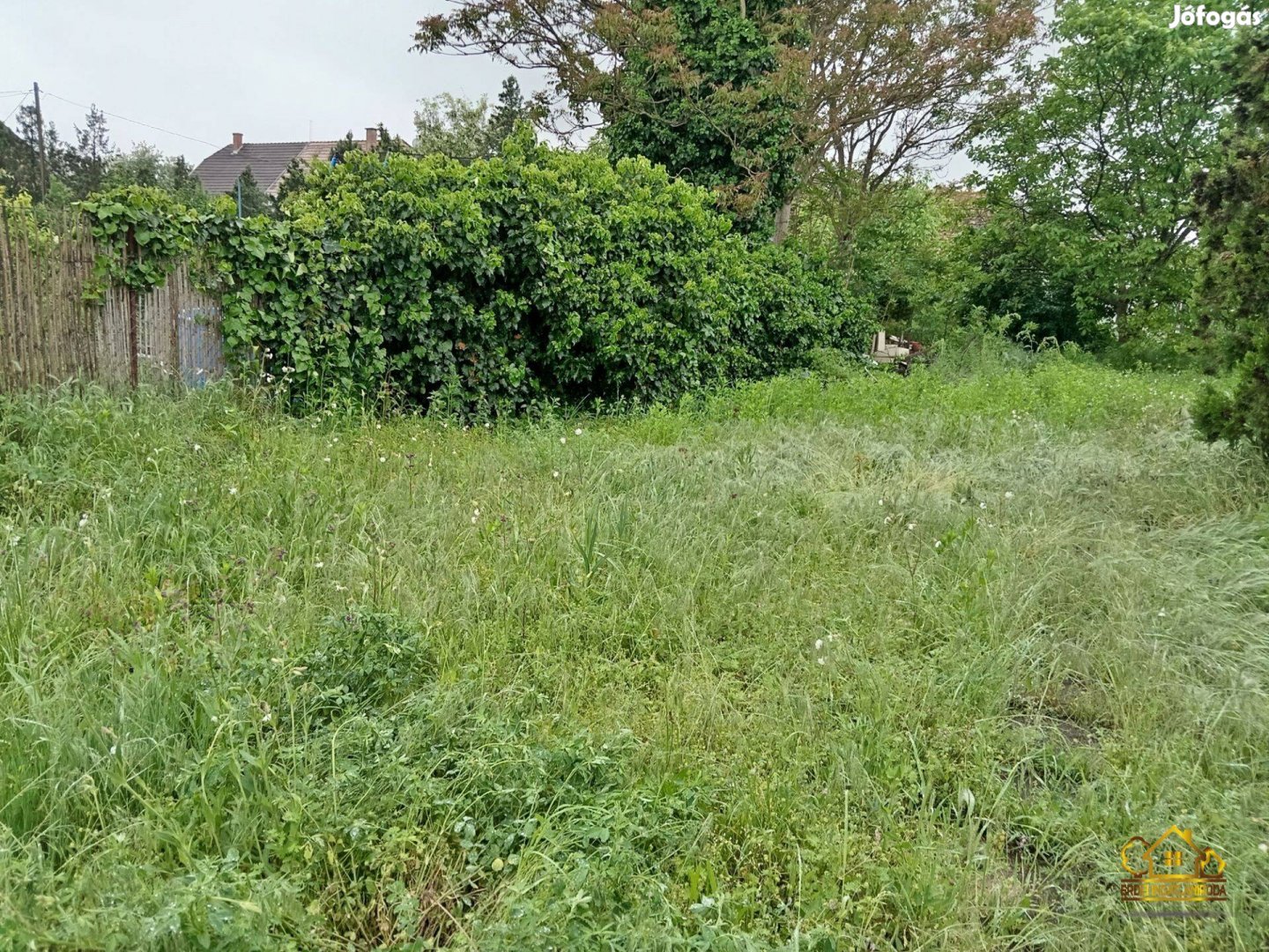 Szigetszentmiklós, Lakihegyen 971 m2-es építési telek! 1139
