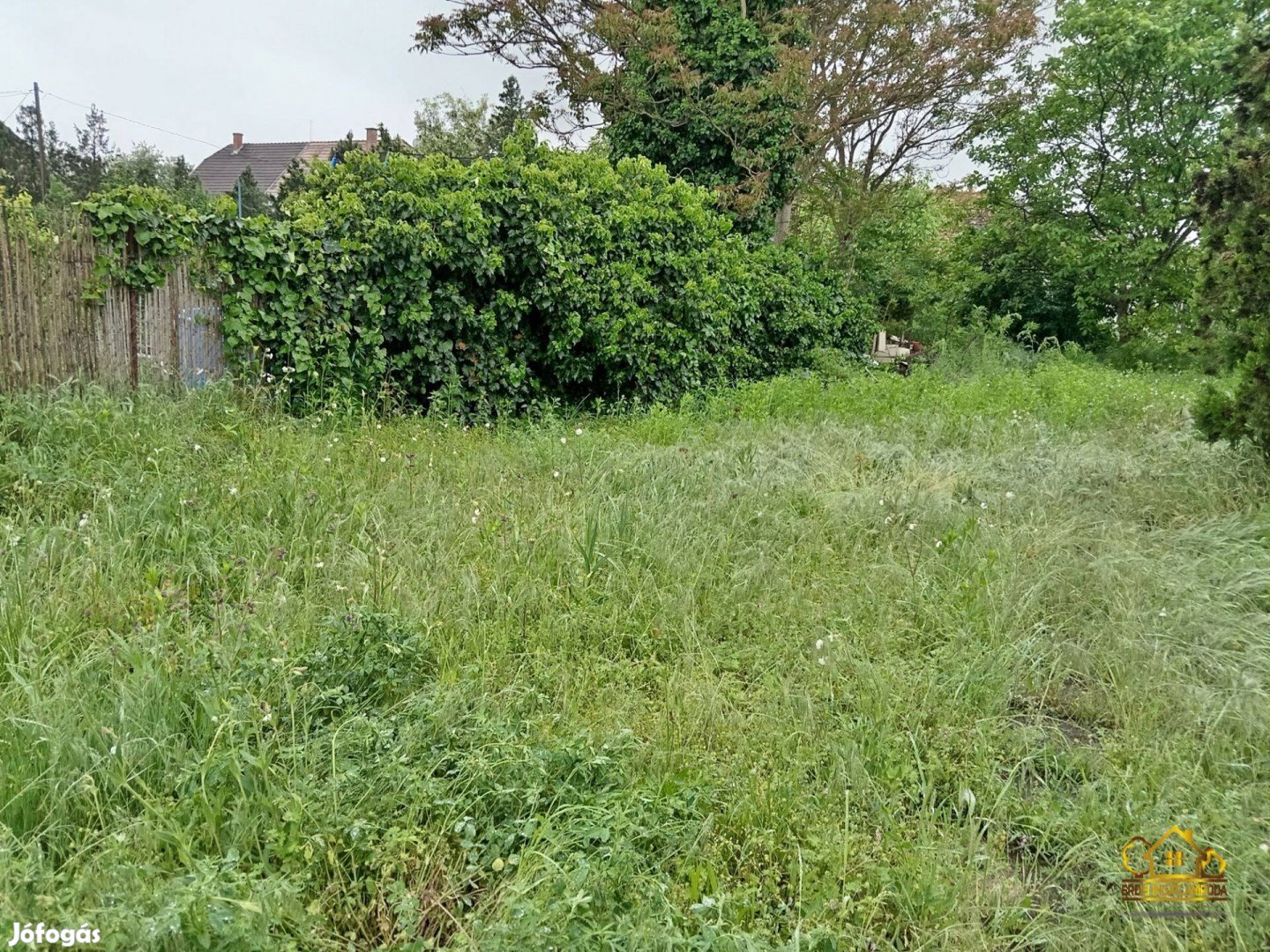 Szigetszentmiklós, Lakihegyen 971 m2-es építési telek! (1139)