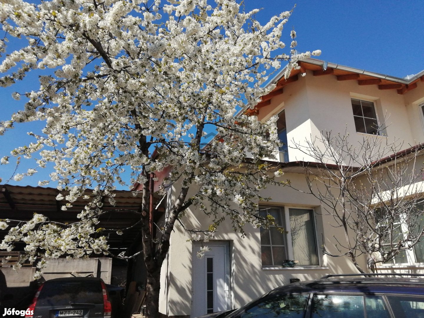 Szigetszentmiklósi nagy ház családoknak vagy vállalkozásra