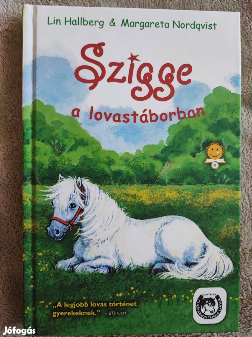 Szigge a lovastáborban