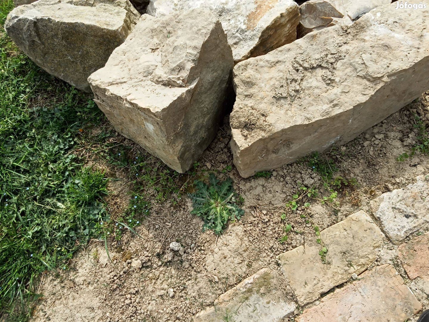 Sziklakerti kövek, sziklák