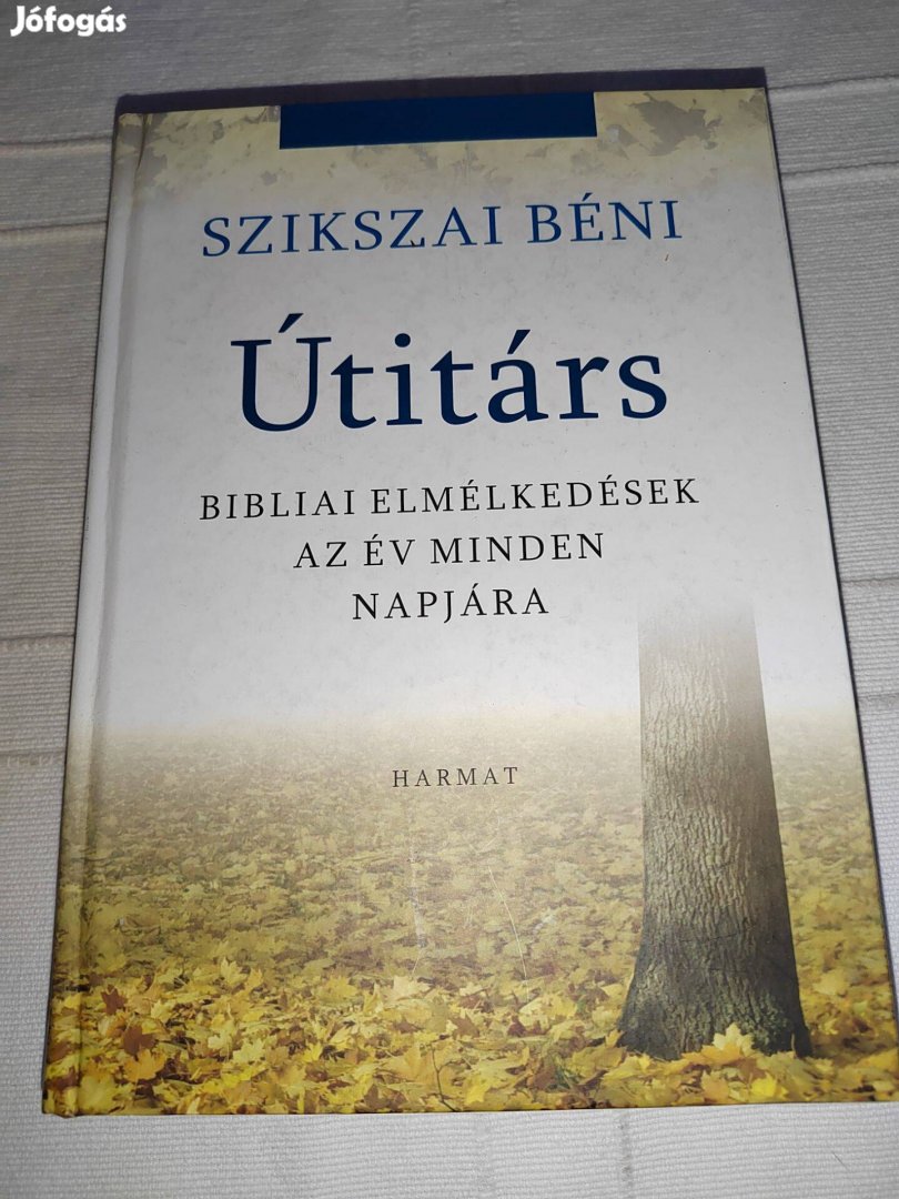 Szikszai Béni: Útitárs