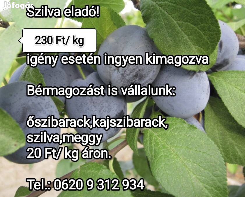 Szilva eladó, kimagozva is