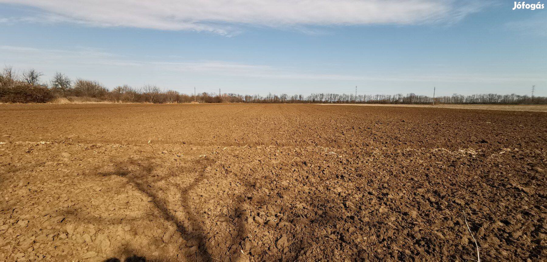 Szilvavölgyben telek eladó