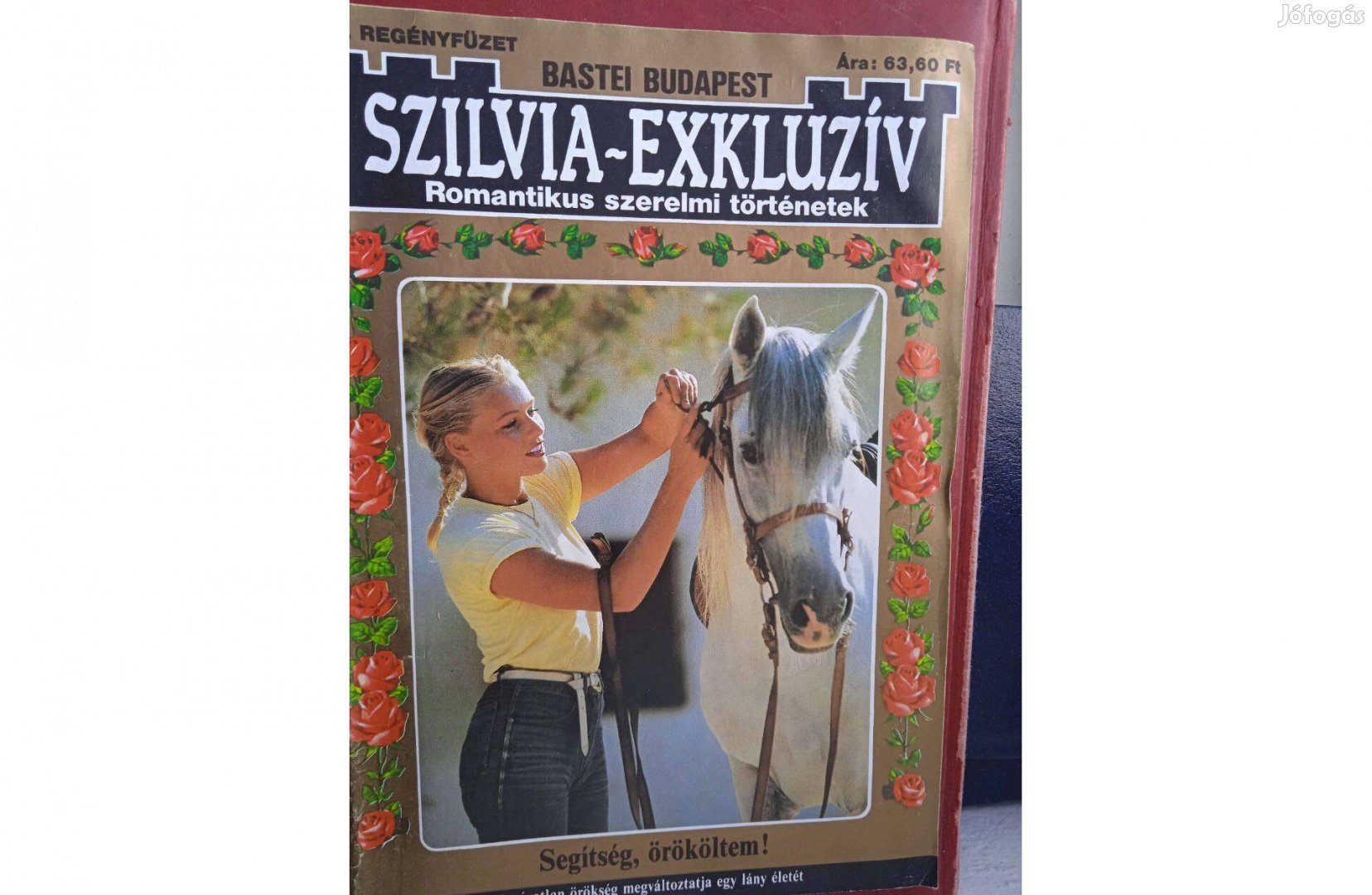 Szilvia - Exkluziv füzetek - Segítség , örököltem !