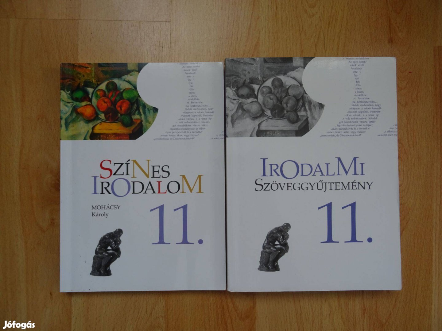 Színes irodalom 11. Mohácsy Károly