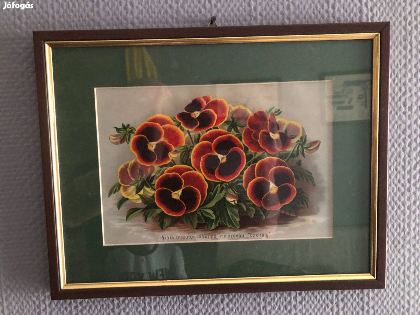 Színes virágnyomat díszes keretben