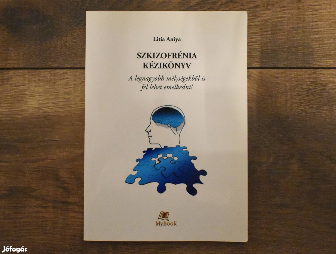 Szkizofrénia kézikönyv - Litia Aniya