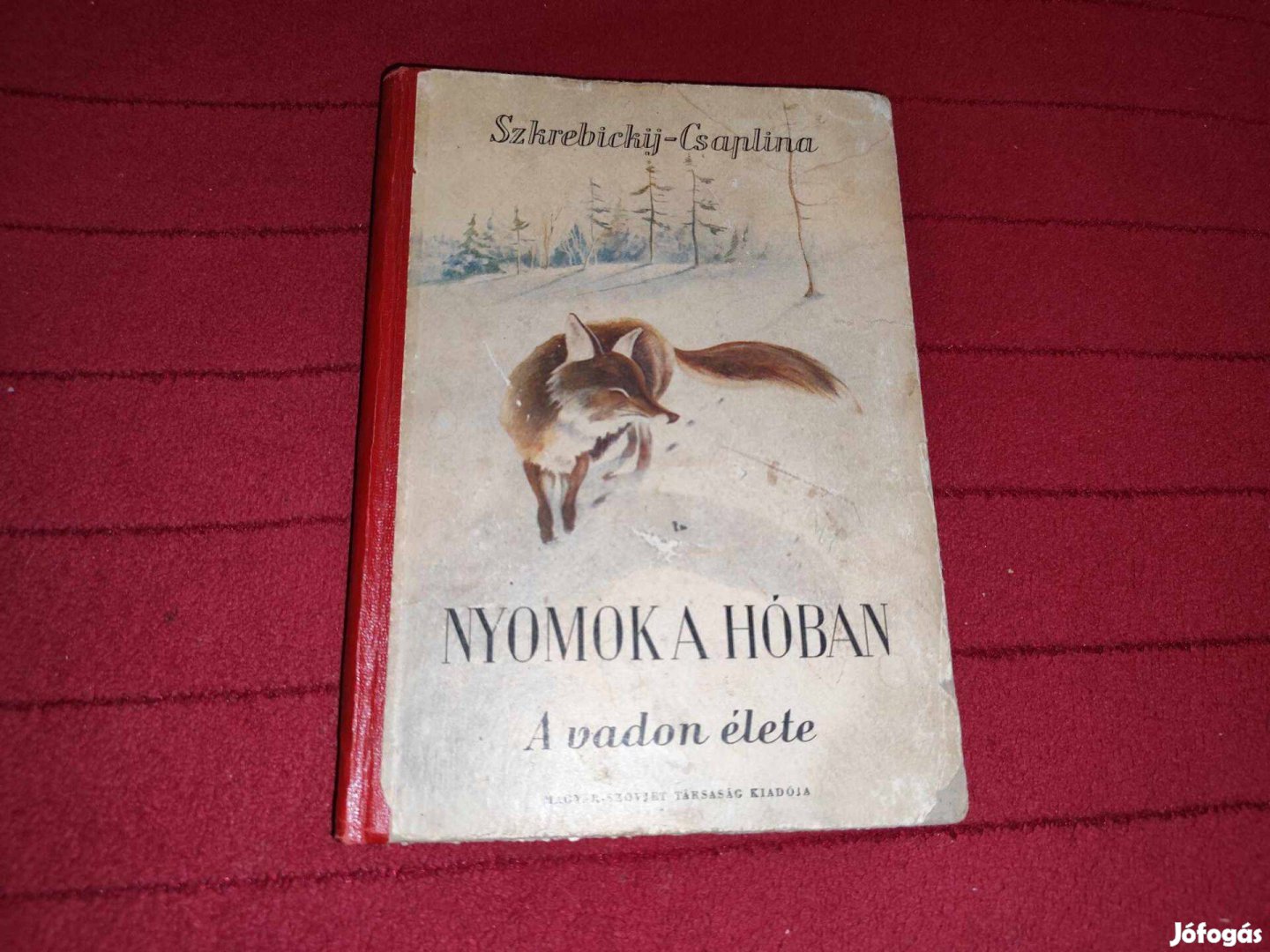 Szkrebickij-Csaplina: Nyomok a hóban (A vadon élete)