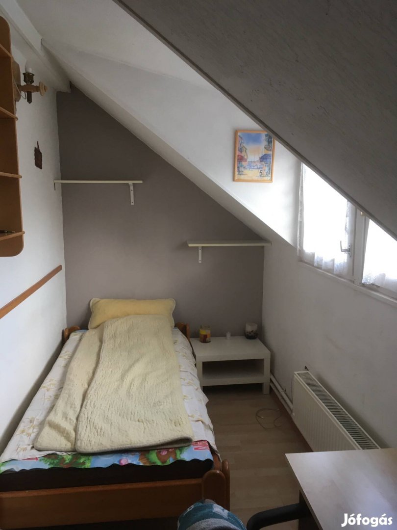 Szoba kiadó kertvárosi övezetben